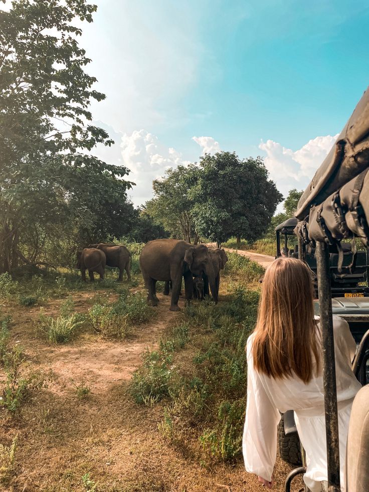 Udawalawa National Park Safari